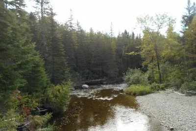 Nice creek scene    L