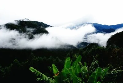 TAIWAN
