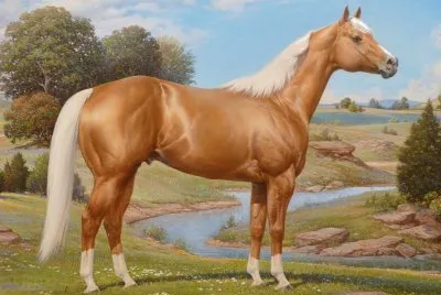 CABALLO PALOMINO