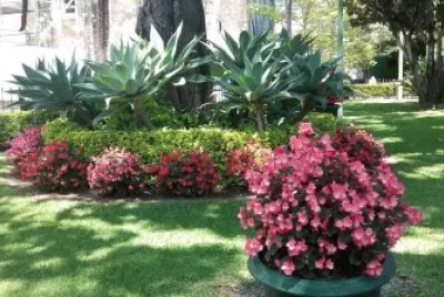 jardin