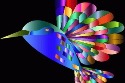 ColibrÃ­-Ave- CromÃ¡tico.