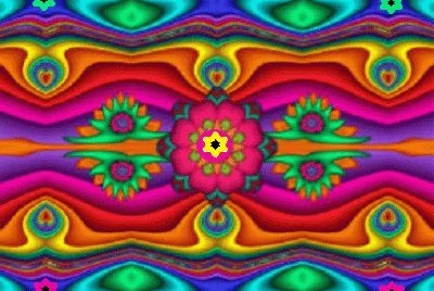 lily6