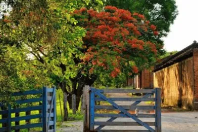 imagem jigsaw puzzle