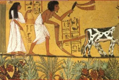 AGRICULTOR EGIPCIO