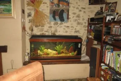 aquarium