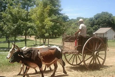 carreta
