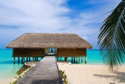 palapa jigsaw puzzle