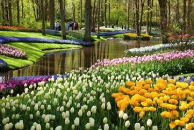paisaje florido