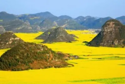 campos de China jigsaw puzzle