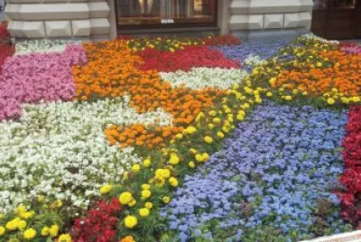 tapete de flores