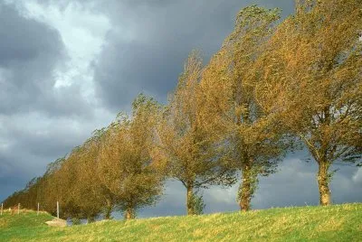 NATUREZA