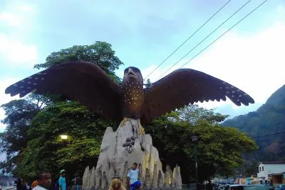 Guacharo