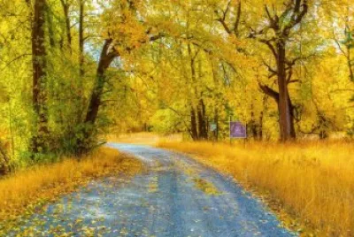 imagem jigsaw puzzle