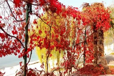autunno sul lago di Garda