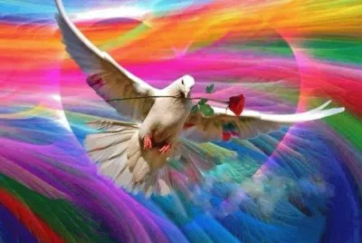 imagem