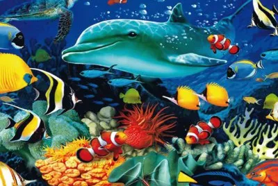 Fondo del mar jigsaw puzzle