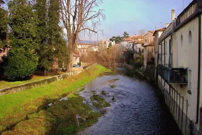 NATUREZA jigsaw puzzle