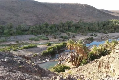 Ouarzazate oasis