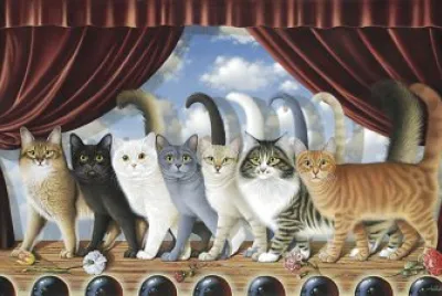 cats
