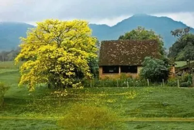 imagem jigsaw puzzle