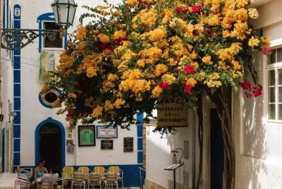 Lugares MAGICOS !!!!!!! jigsaw puzzle