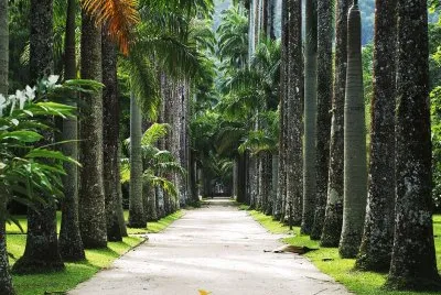 imagem jigsaw puzzle