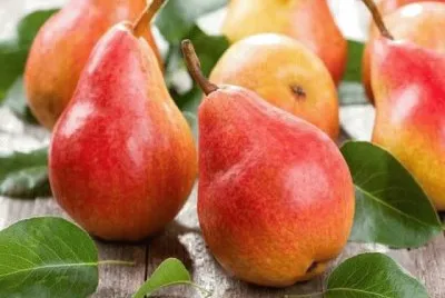 imagem jigsaw puzzle