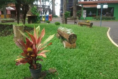 natureza jigsaw puzzle