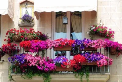 imagem jigsaw puzzle