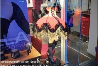 Montages d 'images de marmottes