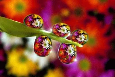varios jigsaw puzzle