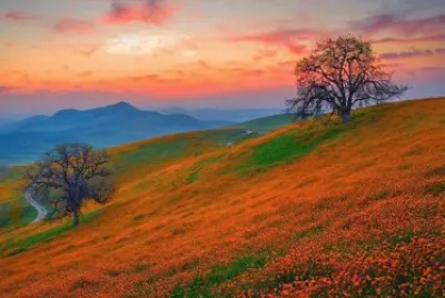 imagem jigsaw puzzle