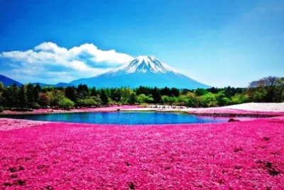 spring-181 jigsaw puzzle