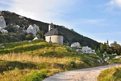NATUREZA jigsaw puzzle
