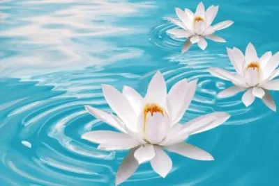 piscina con flores
