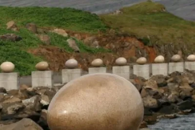 Eggs at Merry Bay
