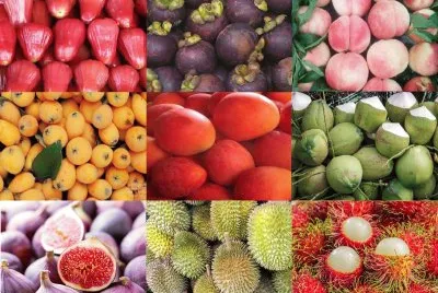 פאזל של fruit8