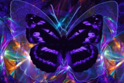 Pretty Purple Butterfly-Abstract Art