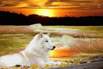 imagem jigsaw puzzle