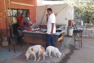un dia de botana