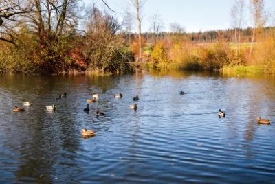 am Katzensee jigsaw puzzle