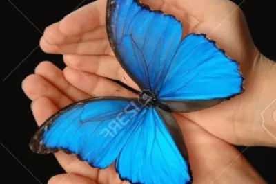 Mariposa