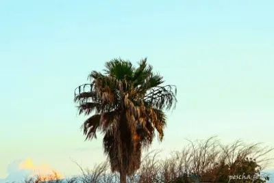 mallorca jigsaw puzzle