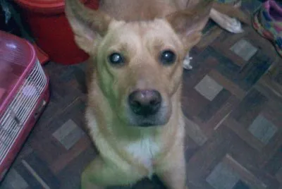 Rita Margarita