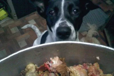 Esperando la comida