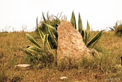 mallorca jigsaw puzzle