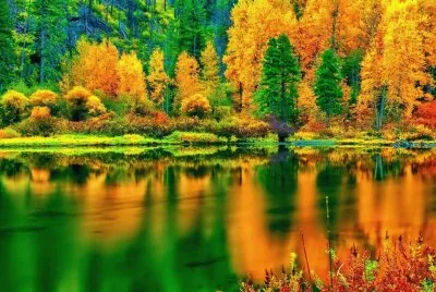 FALL