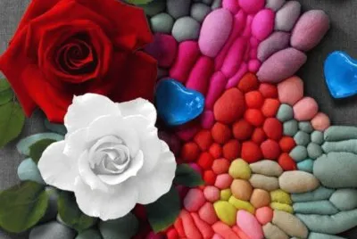ROSAS
