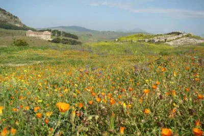 Segesta