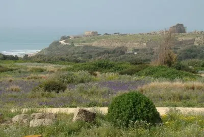 Selinunte